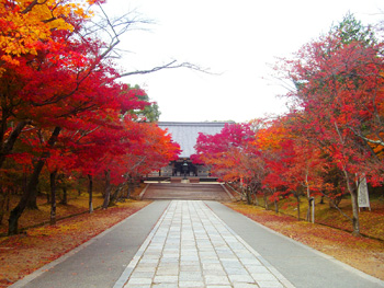 京都の紅葉 金閣寺: 京都の紅葉 名所